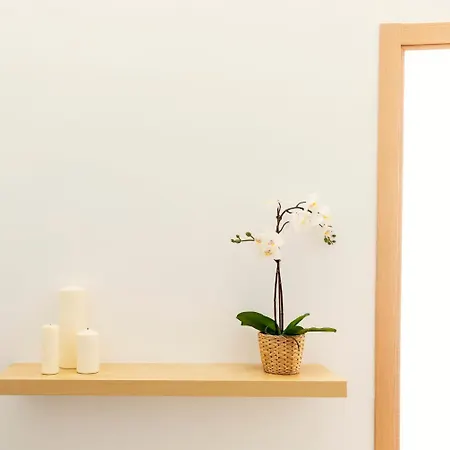 Apartamento Carmen Coronada *