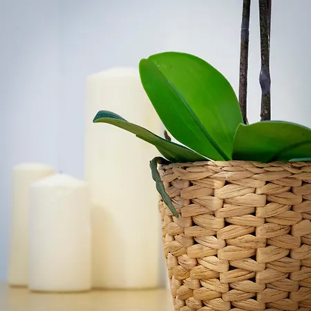 Apartamento Carmen Coronada *