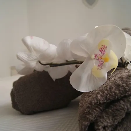 Apartamento Carmen Coronada *